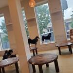 鎌倉乃豆柴カフェ - 