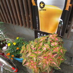 丸千葉 - 植込みで季節を感じられる。