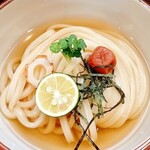 手打うどん 丸亀渡辺 - 冷かけ(梅干付・小)+スダチ