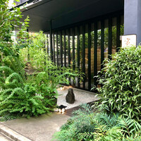 肉割烹 京 - 
