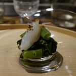 温石 - アオリイカ