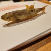 神楽坂 よこ田 - 稚鮎