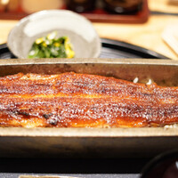 うなぎ四代目菊川 ミッドランドスクエア 名古屋本店 - 