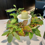 NARISAWA - 森のパン2010 苔