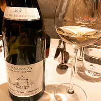 ジョンティ アッシュ - 