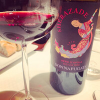 ジョンティ アッシュ - 