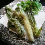 萌えぎ - こしあぶら、ウド、行者ニンニク、コゴミ