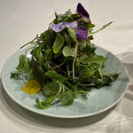 ナベノ-イズム - 広島県梶谷農園マイクロハーブサラダを添えて