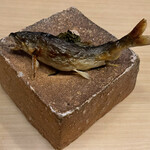 旬菜 おぐら家 - 天然鮎の炭火焼き