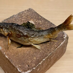 旬菜 おぐら家 - 天然鮎の炭火焼き