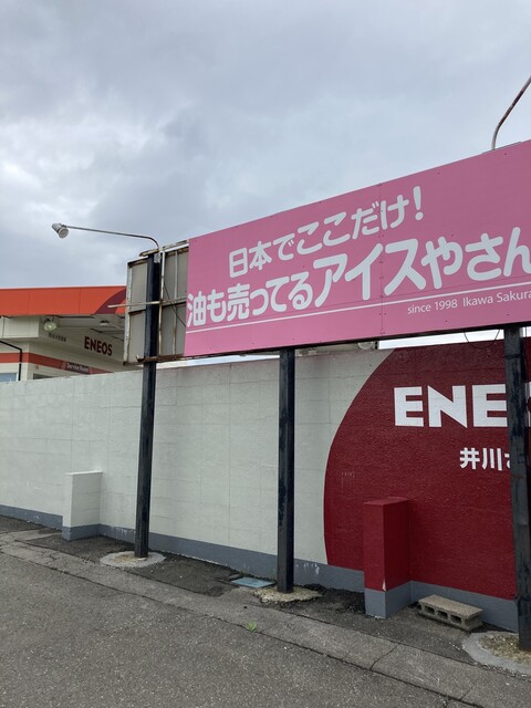 佐々木商事　井川さくらＳＳ - 井川さくら（ジェラート・アイスクリーム）の写真