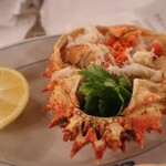 Trattoria Alla Madonna - 