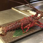 銀座 鉄板焼き Sublime - 