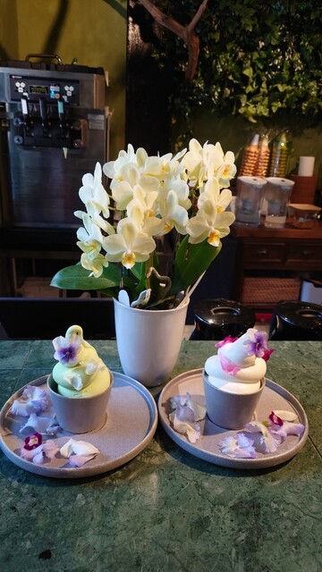 Maestro マエストロ 京都市役所前 カフェ 喫茶 その他 食べログ Maestro マエストロ 京都市役所前 カフェ 喫茶 その他 食べログ