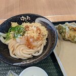 はなまるうどん - 冷やおろし醤油うどん（中）＋磯部かしわ天