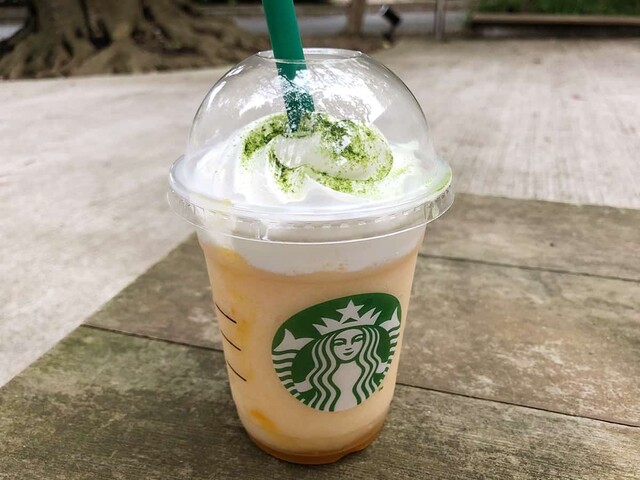 スターバックスコーヒー 浜松城公園店 遠州病院 カフェ 食べログ