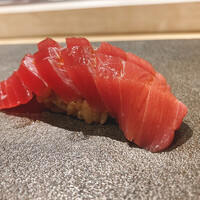 はっこく - マグロの中トロ（背トロ）