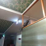 こおりやま駅前サウナ24 - なつ「みはらしいいのニャン♪」