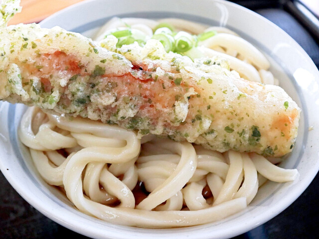 うつ海うどん 水田 うどん 食べログ