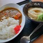 はなまるうどん - ミニ丼セット（カレーライス（大盛り）＆ひやかけ（小））