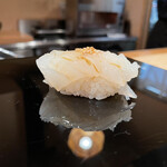 登喜和鮨 - 新潟産赤烏賊