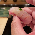 登喜和鮨 - 佐渡産マハタ