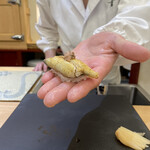 兄弟寿し - 新潟産鰻白焼き生姜梅