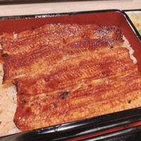 うなぎ 目白ぞろ芽 - 