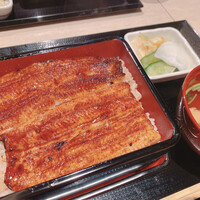 うなぎ 目白ぞろ芽 - 