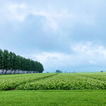 蕎麦の里 びばいろ - 