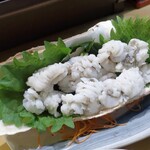 葵 - はもの湯引き