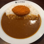 カレーハウス CoCo壱番屋 - ポークカレー（ライス500g）＆大豆ミートのメンチカツ