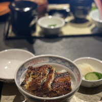 炭焼きうなぎ・かしわ 登河 - 