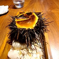 ル スプートニク - 