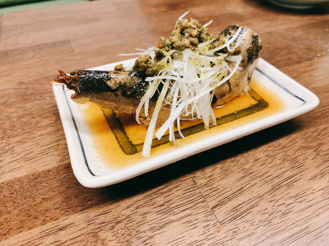 居酒屋 初場所 中目黒 居酒屋 食べログ 居酒屋 初場所 中目黒 居酒屋 食べログ