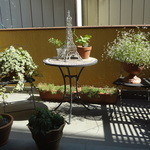 セルフィーユ - 秋を感じるバルコニー