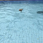 ガーデンリゾート淡路島 ハナアンドキッス - 