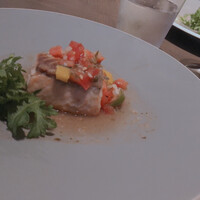 COLONIAL BEACH 横浜ハンマーヘッド - 