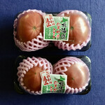 KINOKUNIYA - 北海道仁木町の酸味のあるトマト