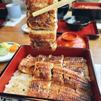 うなぎ処 山道 - 鰻