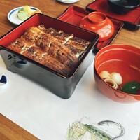 うなぎ処 山道 - うな重
