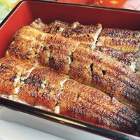 うなぎ処 山道 - うな重