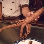 カハラ - ごぼう