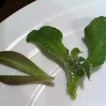 エスペランザ - ｸﾞﾗﾊﾞﾗﾘｰﾌ（左）とｱｲｽﾌﾟﾗﾝﾄ（右）