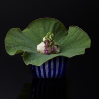 会席　白山