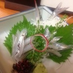 かず味家 - さより刺身