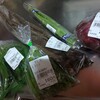 わいわい市 - 料理写真:買った野菜たち
