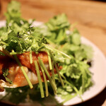 餃子とスパークリング バブルス - ハリッサパクチー餃子