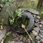 自家焙煎珈琲 森の響 - 