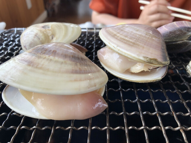 いさりび食堂 九十九里町その他 魚介料理 海鮮料理 食べログ